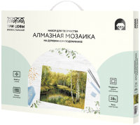 

Набор алмазной вышивки Три совы, Летний пейзаж / АМП3040_47592