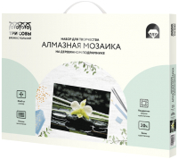 

Набор алмазной вышивки Три совы, Цветок орхидеи / АМП3040_47589