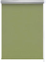 Рулонная штора LEGRAND Блэкаут Сильвер 140x175 / 58091329 (зеленый) - 