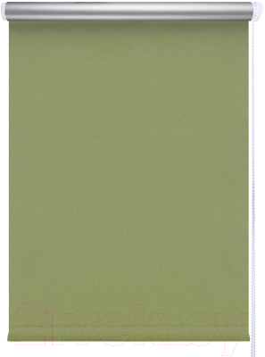 Рулонная штора LEGRAND Блэкаут Сильвер 140x175 / 58091329 (зеленый)
