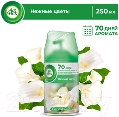 Сменный блок для освежителя воздуха Air Wick Airwick Freshmatic Refill White Flowers (250мл)