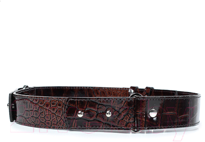 Изображение товара Ремень женский Galanteya 5520 / 22с2496к45 1р (коричневый)