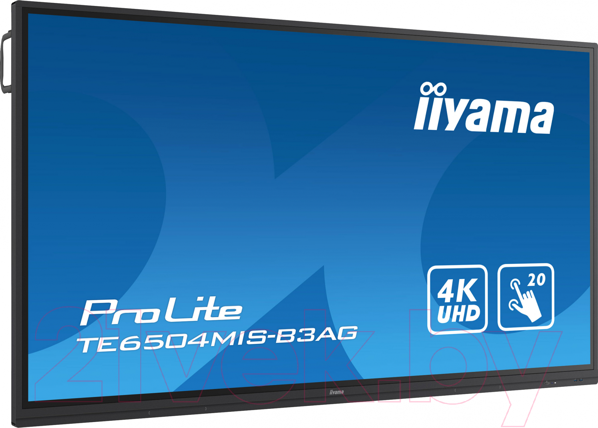 Информационная панель Iiyama ProLite TE6504MIS-B3AG