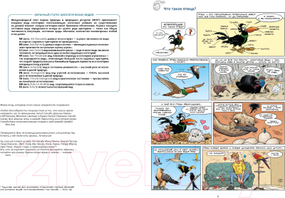 Комикс Пешком в историю Птицы в комиксах-1 (Гаррера, Сирван)