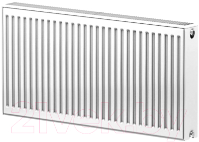 Радиатор стальной Ruterm Панельный 22 300x900 1.2 (боковое подключение)