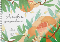 

Альбом для рисования, Juice Fruits / 58604
