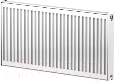 Радиатор стальной Ruterm Панельный 21S 500x400 1.2 (боковое подключение)