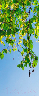 Фотообои листовые Белобои FL-0125-N (250x104)