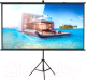 Проекционный экран Future Vision Tripod Cinema 220 / T220HMW (220x123.8) - 