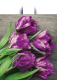 Миниатюра изображения товара Пакет подарочный ТИКО-Пластик Прекрасные тюльпаны / н00217461