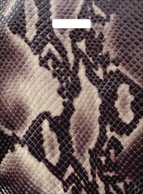 Изображение товара Пакет подарочный ТИКО-Пластик Кобра / н00229573