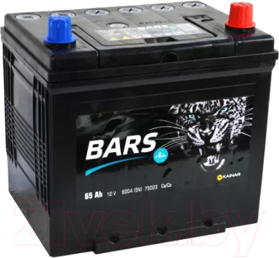 Автомобильный аккумулятор BARS Asia 6СТ-65 Евро R+ (65 А/ч)