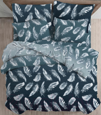 Изображение товара Комплект постельного белья Моё бельё Классик Перо Омбре Б 2.0 / 71012/1