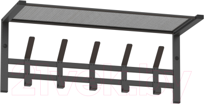 Изображение товара Вешалка для одежды ЗМИ Торонто 21 с полкой / ВСПТ21 (графит)