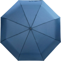 Зонт складной Baldinini 746163-OC Jumbo Classic Blue - 