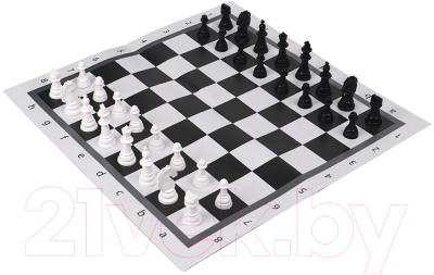 Изображение товара Шахматы РЫЖИЙ КОТ Классические / ИН-0160