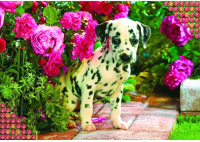 

Набор алмазной вышивки Школа талантов, Далматинец / 1028504