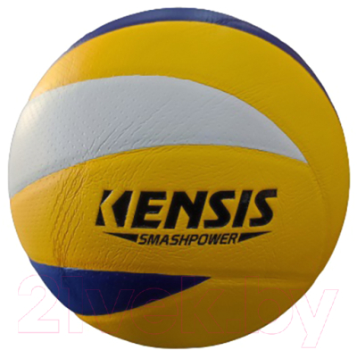 Мяч волейбольный Vimpex Sport VB-1 (размер 5)