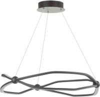 

Потолочный светильник Odeon Light, Porta 5000/45L