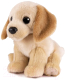 Мягкая игрушка MaxiLife Собака Лабрадор / MT-TSC2127-809-20 - 