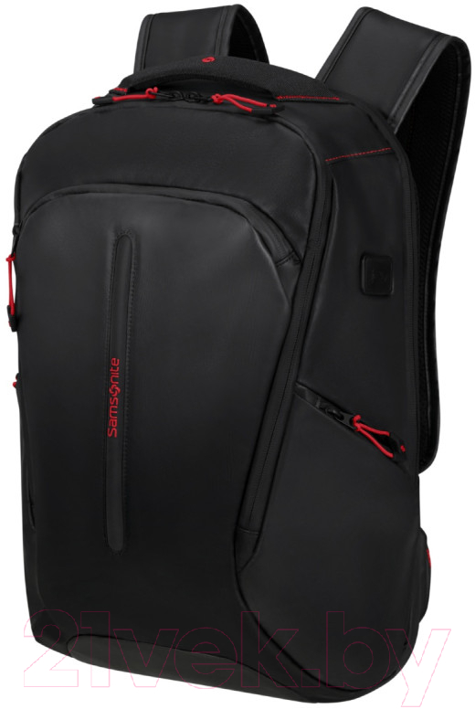 Рюкзак Samsonite Ecodiver KH7*09 004