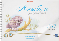 

Альбом для рисования Erich Krause, Birds / 58597