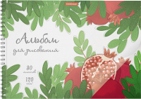 

Альбом для рисования, Juicy Fruits / 58598