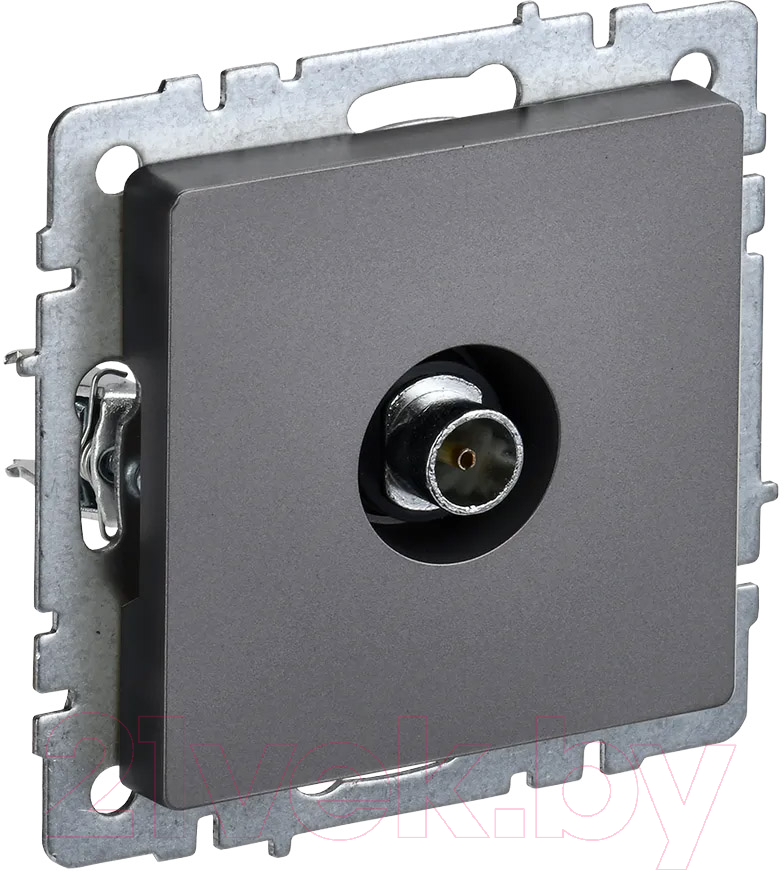 Розетка IEK Brite BR-A10-O-K46 (сталь)