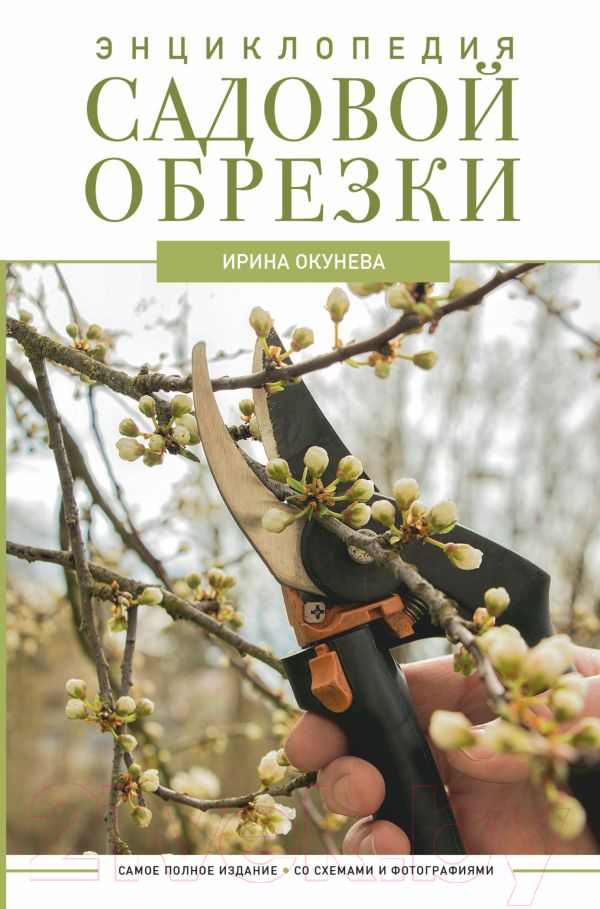 Нехудожественная книга АСТ Энциклопедия садовой обрезки (Окунева И.Б.)