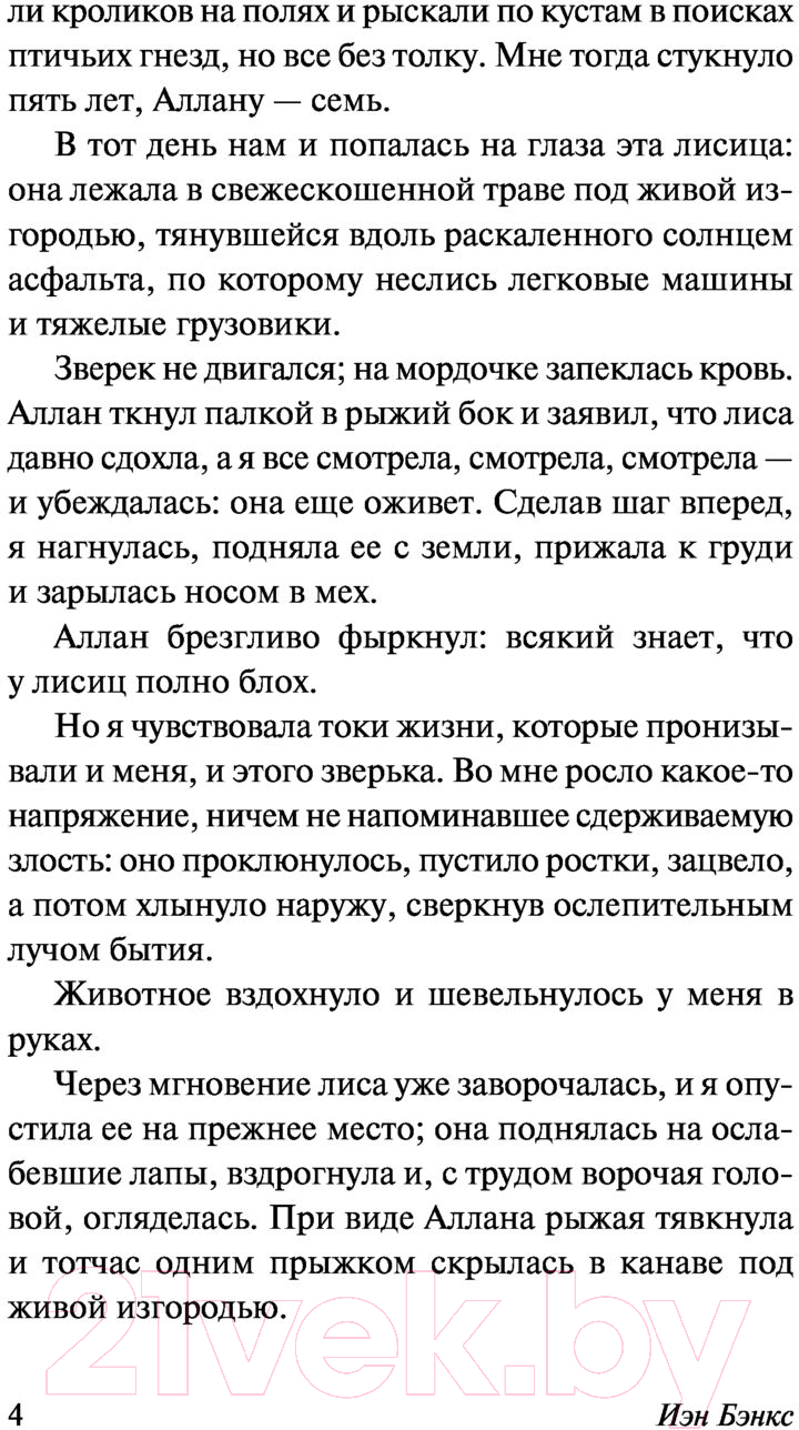 Художественная книга АСТ Умм, или Исида среди Неспасенных (Бэнкс И.) — фото 5