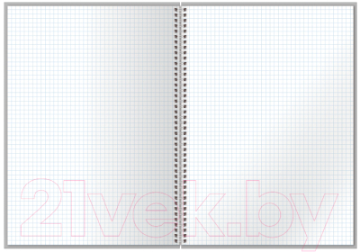 Изображение товара Тетрадь BG My Prints / ТТ4гр80_лм 11229 (80л)