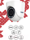 Миниатюра изображения товара IP-камера Trassir TR-D8121IR2 v6 3.6