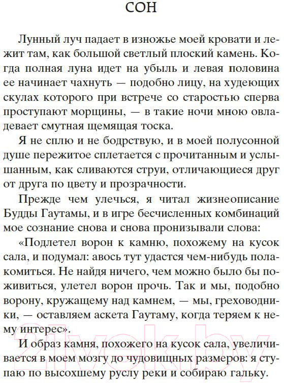 Художественная книга Азбука Голем (Майринк Г.) — фото 4