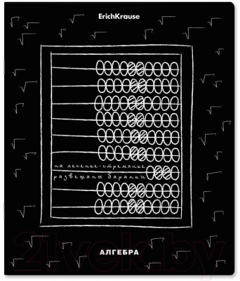 Изображение товара Тетрадь предметная Erich Krause Зри в корень. Алгебра / 59446 (48л)