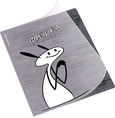 Тетрадь предметная Erich Krause Чубрик. Физика / 59472 (48л) -