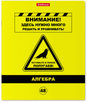 Тетрадь предметная Erich Krause Be Informed. Алгебра / 59482 (48л) - 