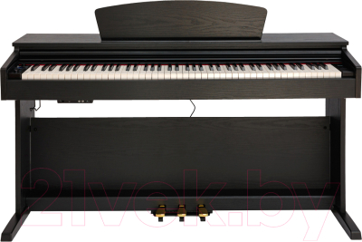 Цифровое фортепиано Rockdale Etude 64 RDP-5088 (Black)