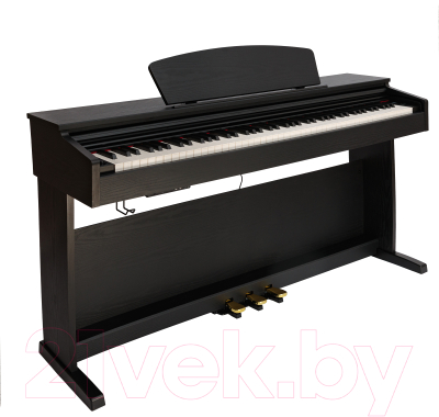 Изображение товара Цифровое фортепиано Rockdale Etude 64 RDP-5088 (Black)