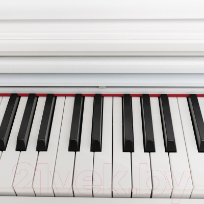 Цифровое фортепиано Rockdale Etude 64 RDP-5088 (White)