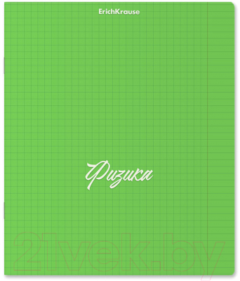 Изображение товара Тетрадь предметная Erich Krause Neon. Физика / 59554 (48л, зеленый)