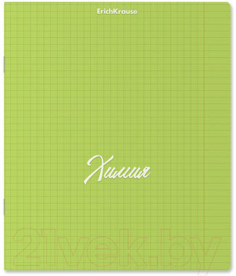 Изображение товара Тетрадь предметная Erich Krause Neon. Химия / 59565 (48л, клетка)