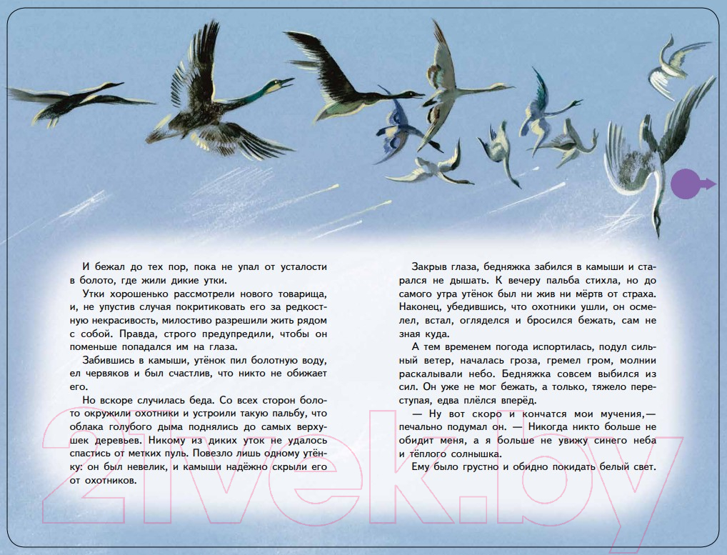 Музыкальная книга Эксмо Гадкий утенок с музыкой А. Вивальди (Андерсен Г.Х.) — фото 4