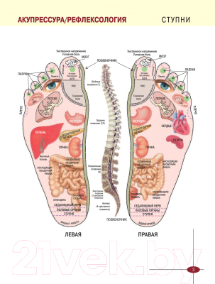 Изображение товара Книга АСТ Акупрессура. Азбука здоровья