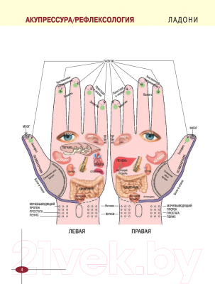 Изображение товара Книга АСТ Акупрессура. Азбука здоровья