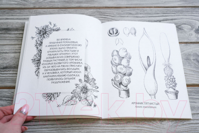 Творческий блокнот АСТ Ботаникум: ядовитые травы, страшные корни и опасные ягоды
