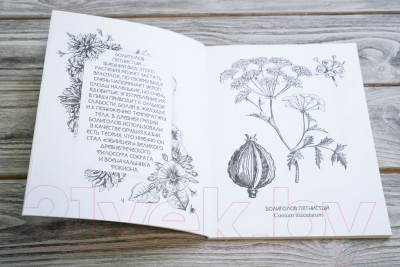Творческий блокнот АСТ Ботаникум: ядовитые травы, страшные корни и опасные ягоды