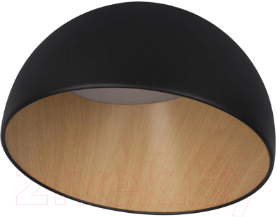 Потолочный светильник Loftit Egg 10197/350 (черный)