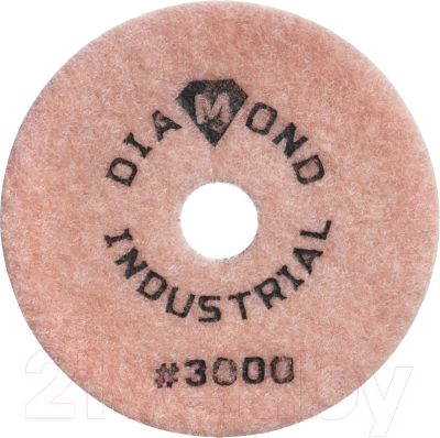Шлифовальный круг Diamond Industrial DIDCHSH3000