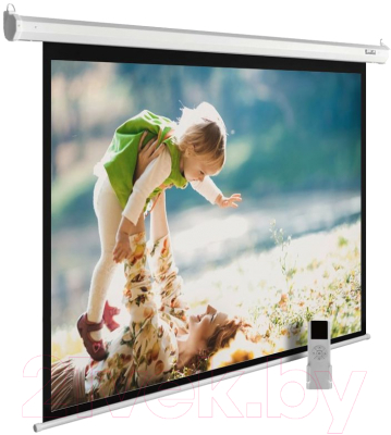 Изображение товара Проекционный экран Cactus MotoExpert CS-PSME-240X150-WT