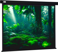 Проекционный экран Cactus Wallscreen CS-PSW-213X213-BK - 
